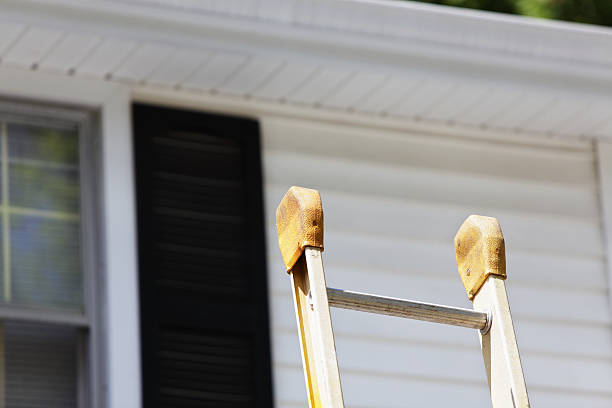 Best Wood Siding Installation  in Brighton, TN